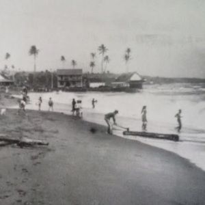 Meet your Posher, Silly